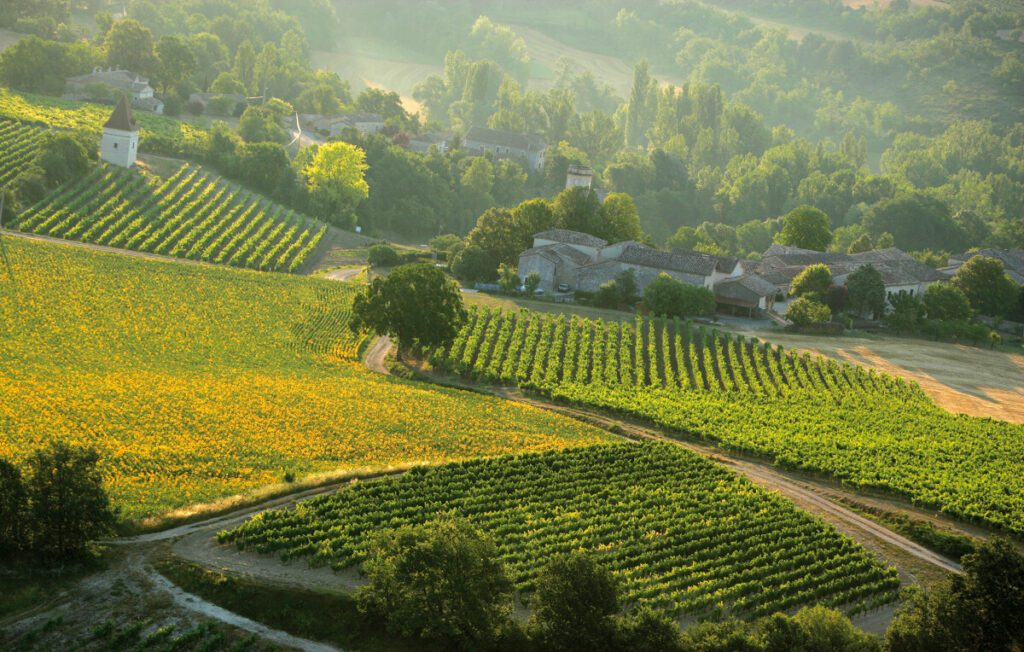 vignoble de Gaillac